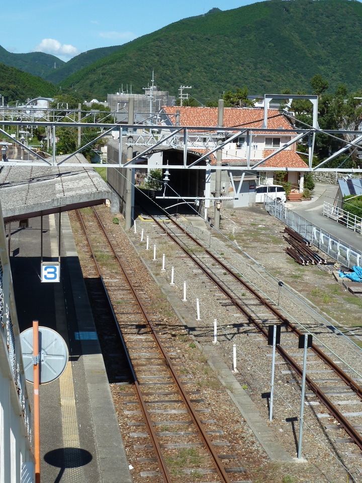 P1000073_mid.jpg