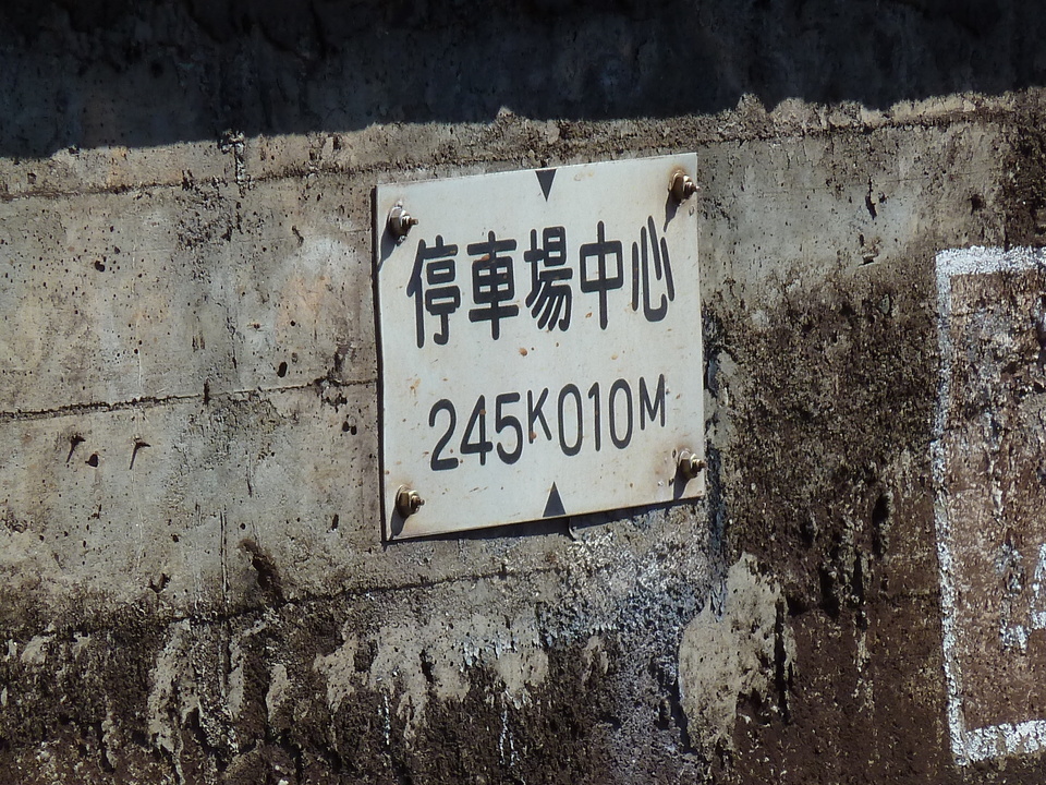 P1000092_mid.jpg