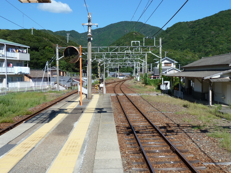 P1000099_mid.jpg