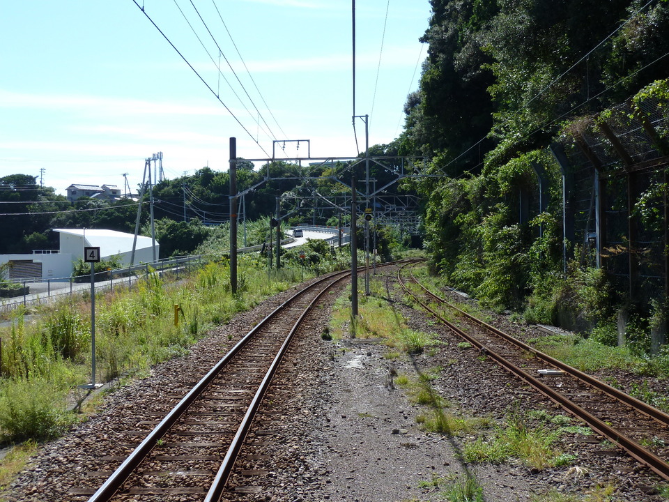 P1000101_mid.jpg