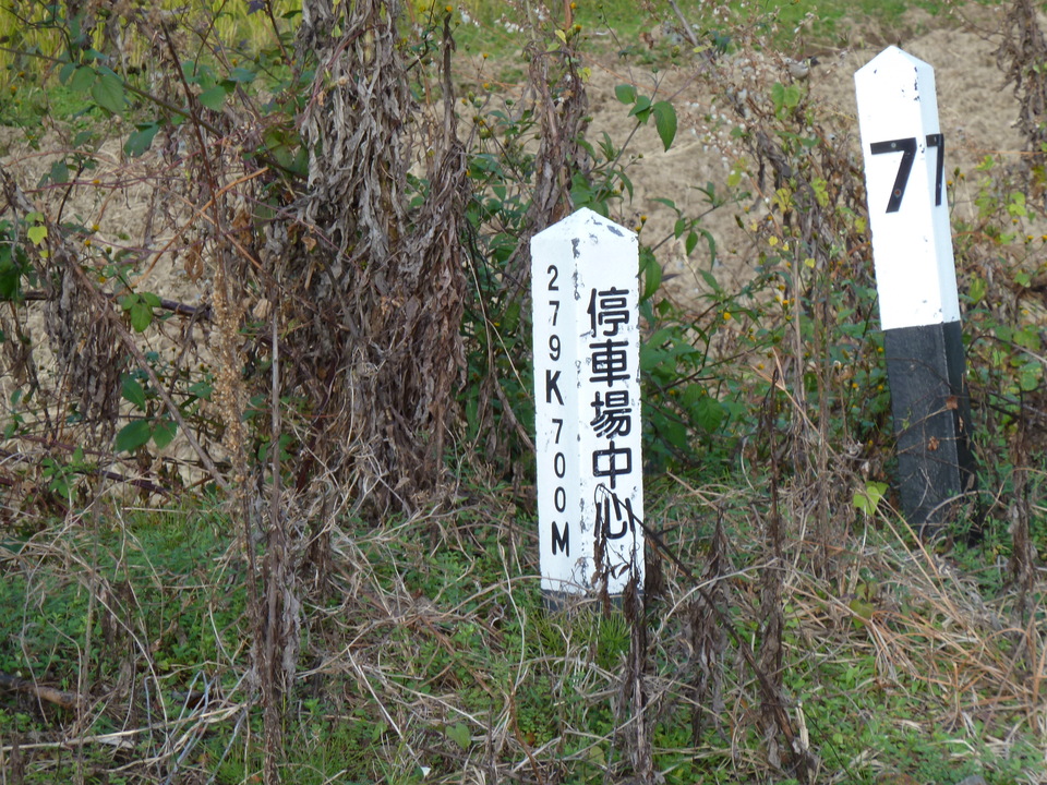 P1000314_mid.jpg