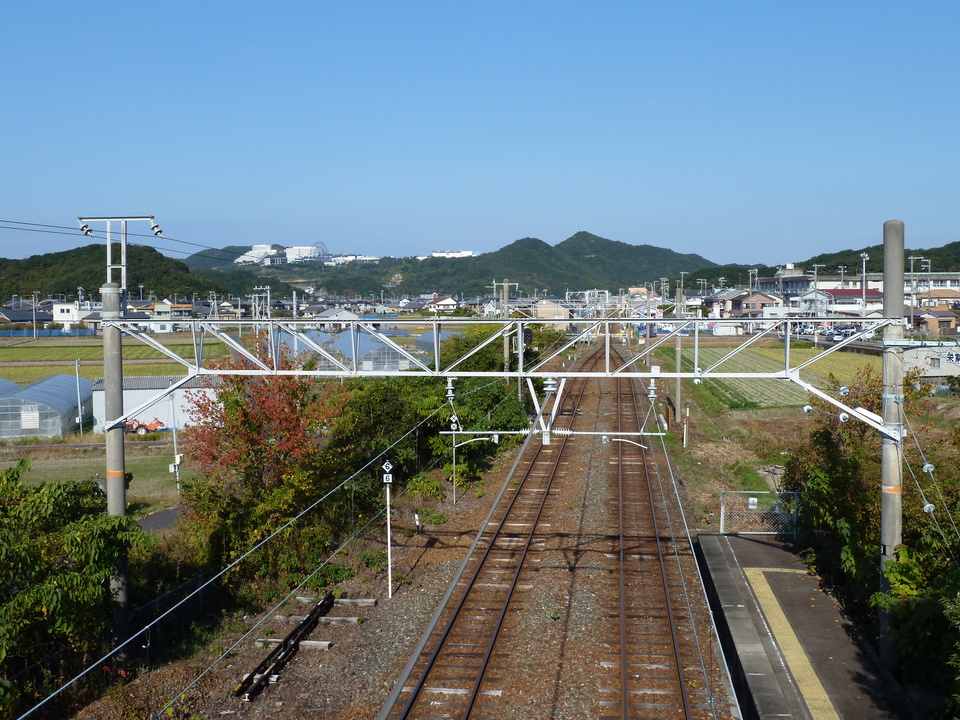 P1000338_mid.jpg