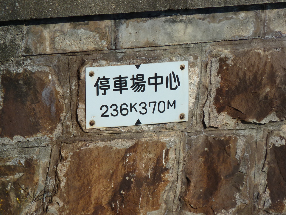 P1000342_mid.jpg