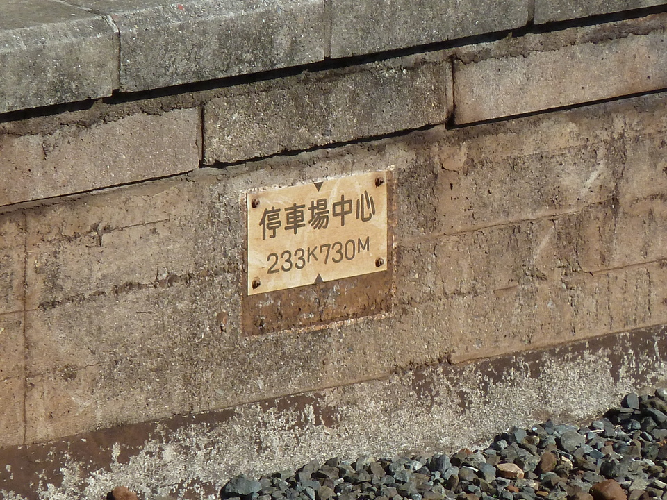 P1000346_mid.jpg