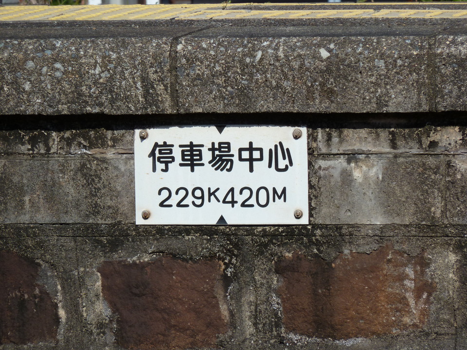 P1000349_mid.jpg