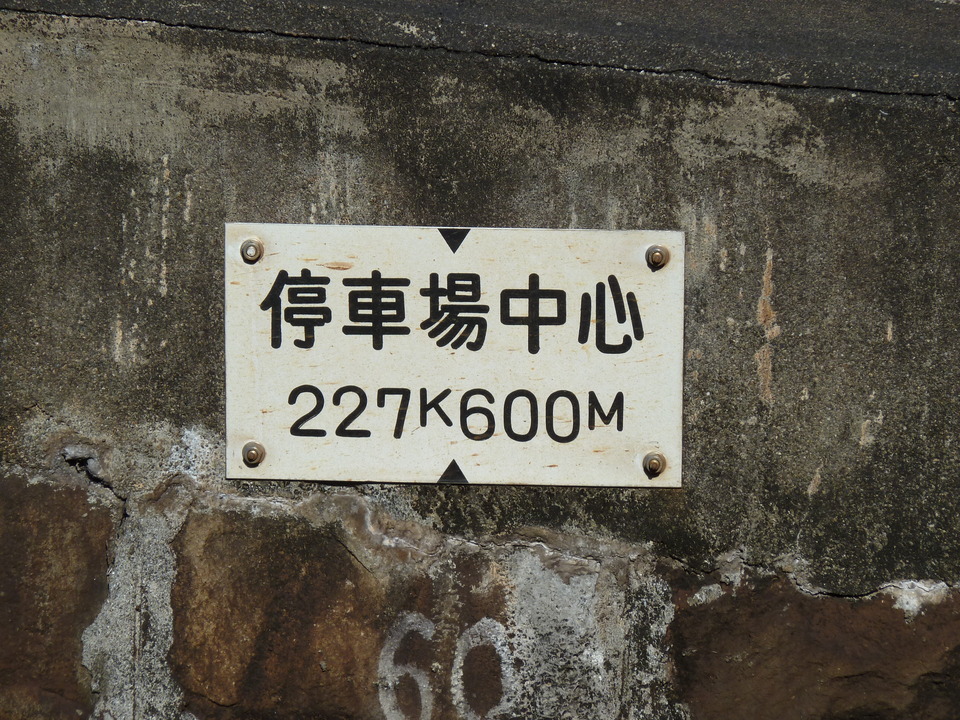 P1000351_mid.jpg
