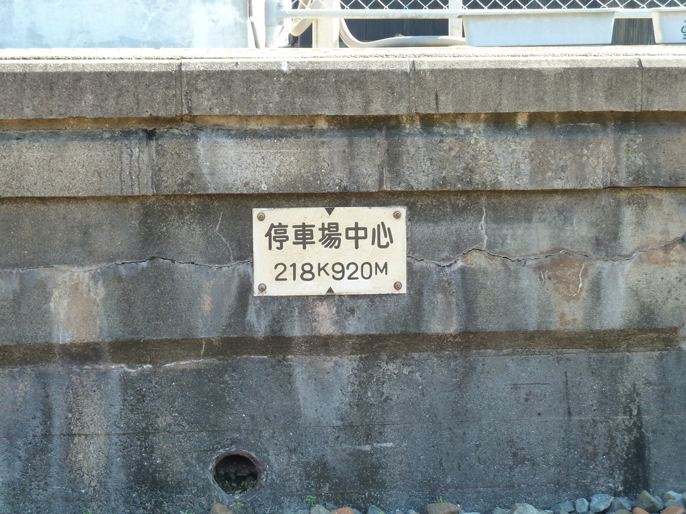 P1000361_mid.jpg
