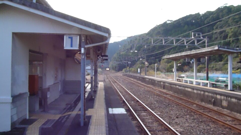 P1000368_mid.jpg