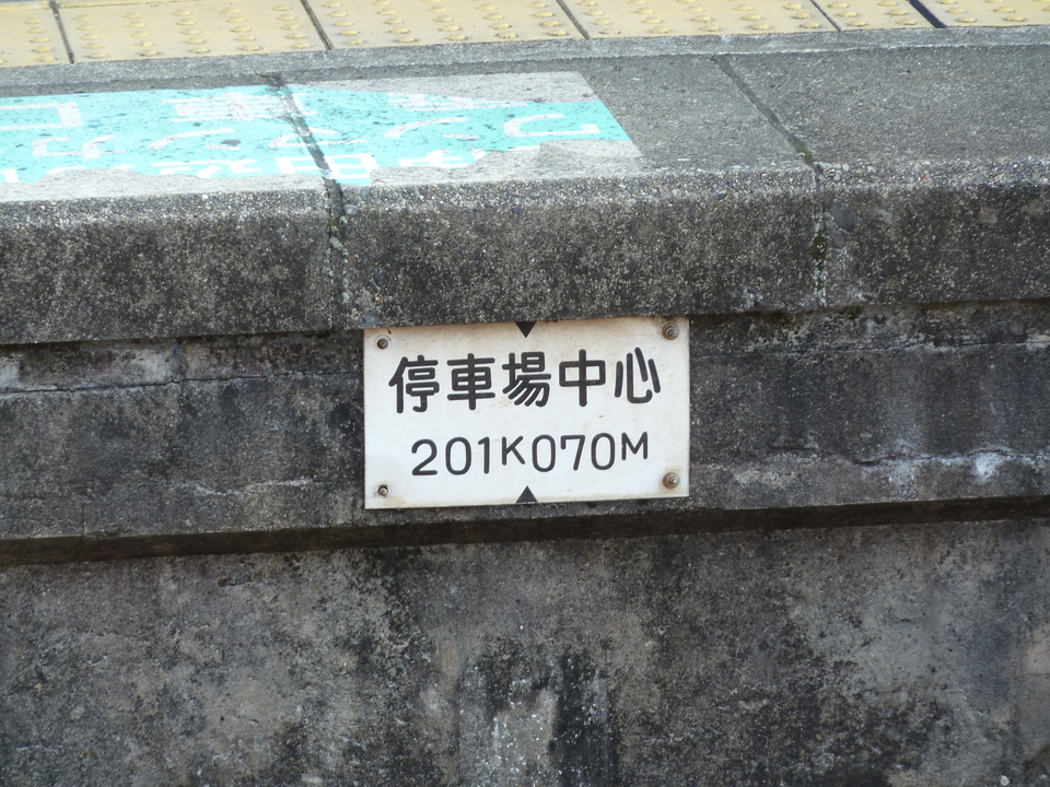 P1000374_mid.jpg