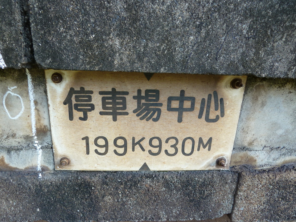 P1000377_mid.jpg
