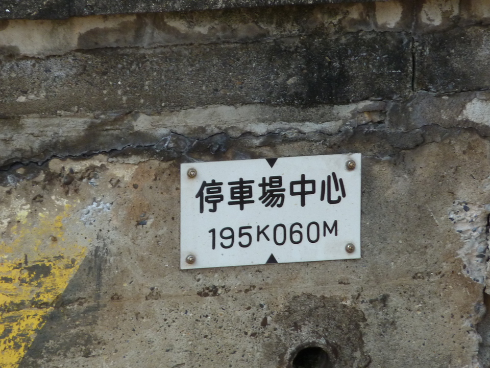 P1000392_mid.jpg