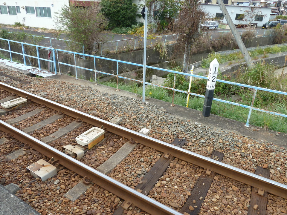 P1000439_mid.jpg