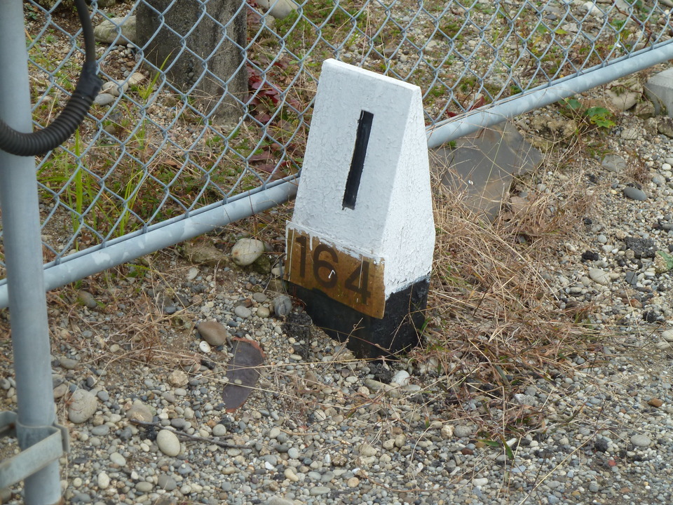 P1000449_mid.jpg