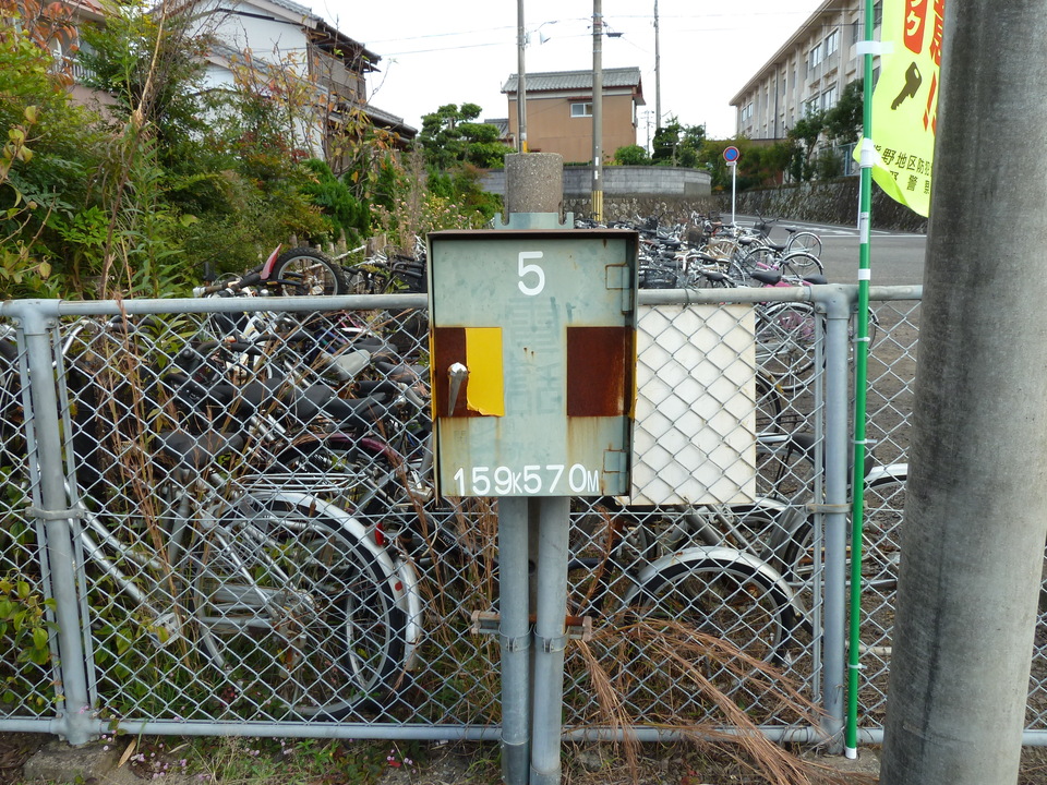 P1000453_mid.jpg