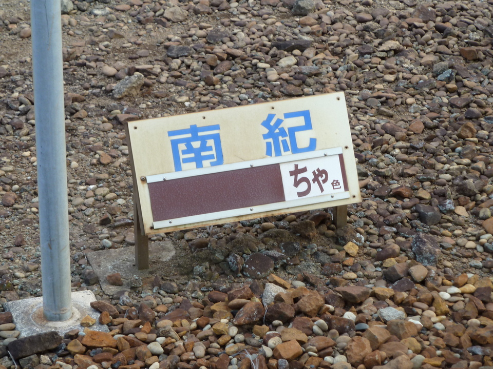 P1000466_mid.jpg