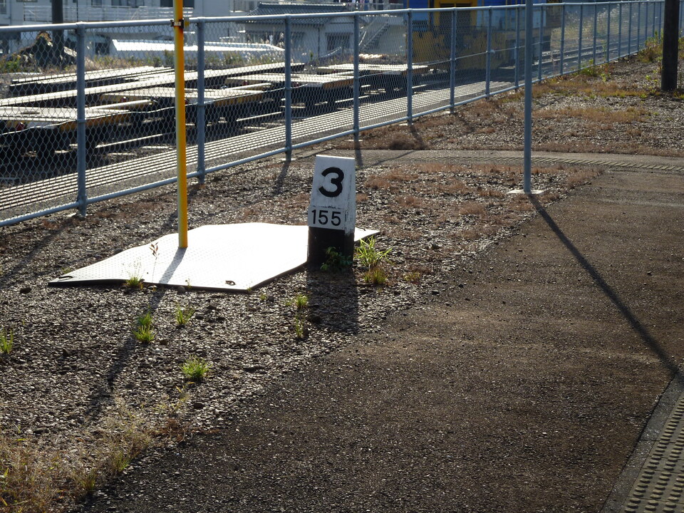 P1000475_mid.jpg