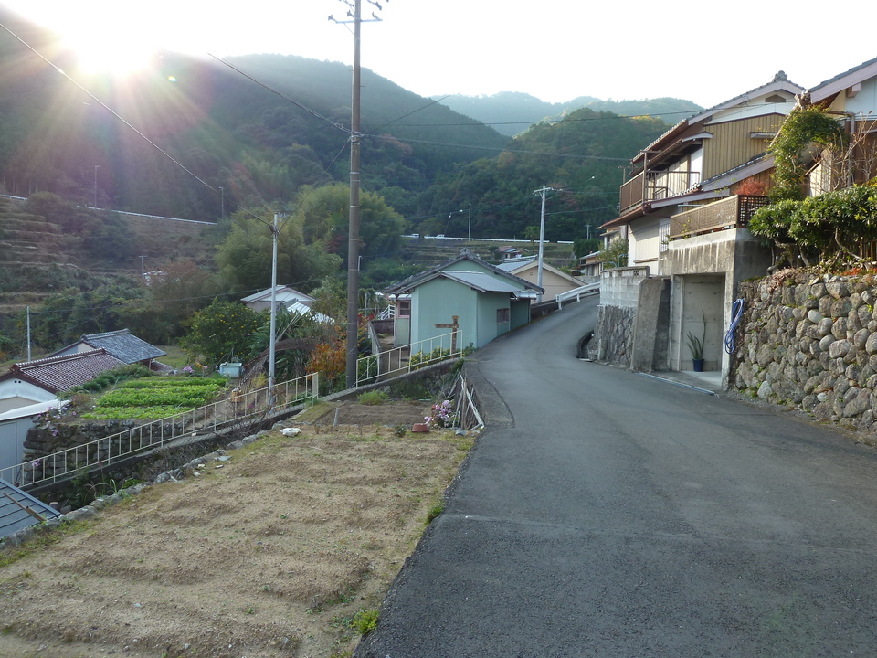 P1000486_mid.jpg