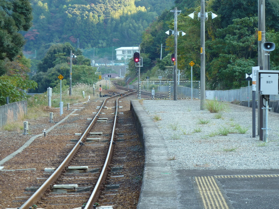 P1000491_mid.jpg