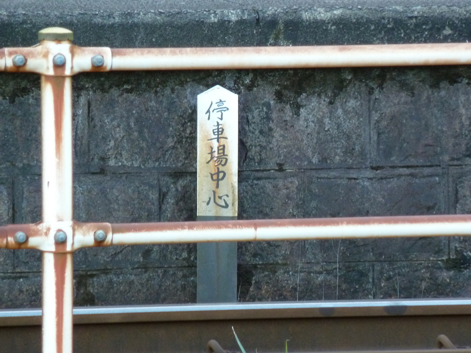 P1000500_mid.jpg