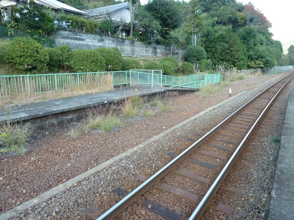 P1000502_mid.jpg