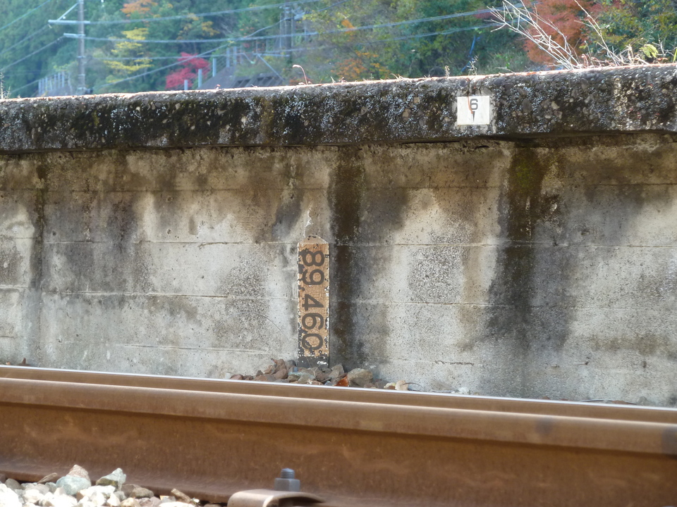 P1000556_mid.jpg