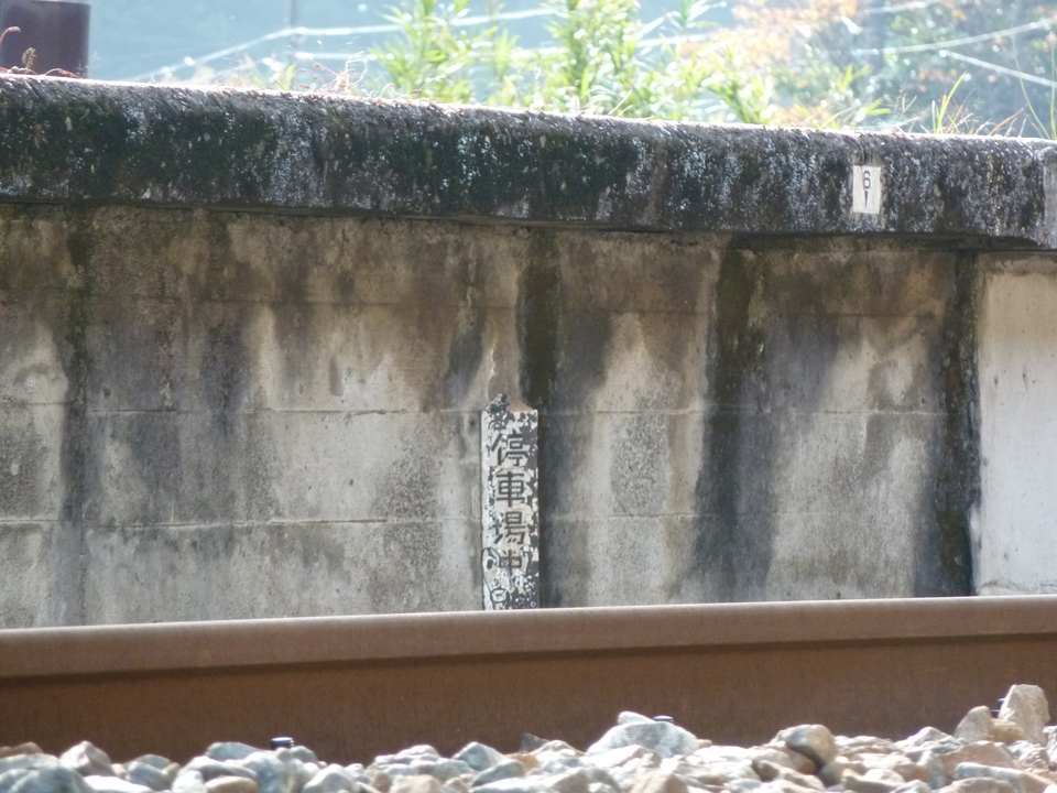 P1000557_mid.jpg