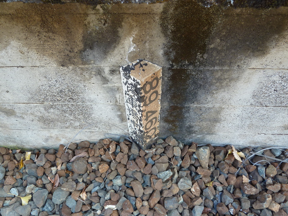 P1000558_mid.jpg