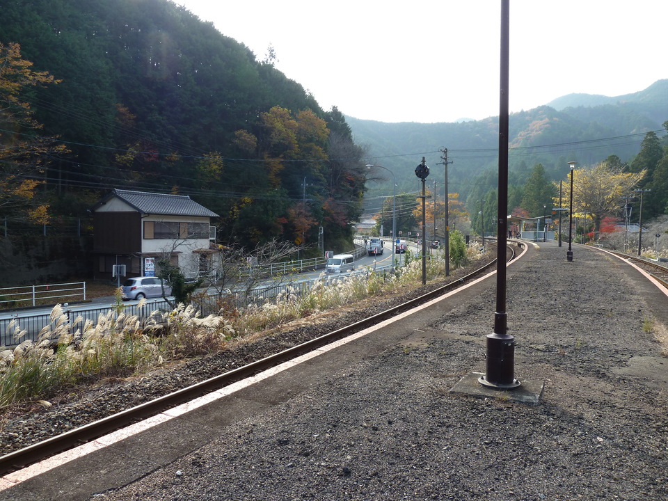 P1000559_mid.jpg