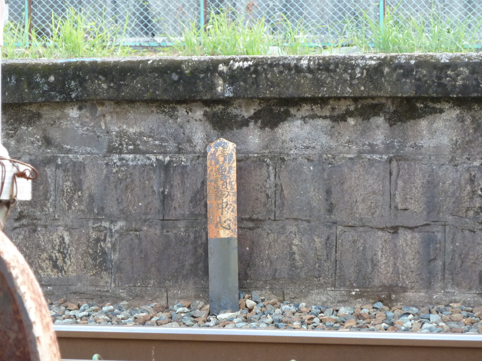 P1000574_mid.jpg