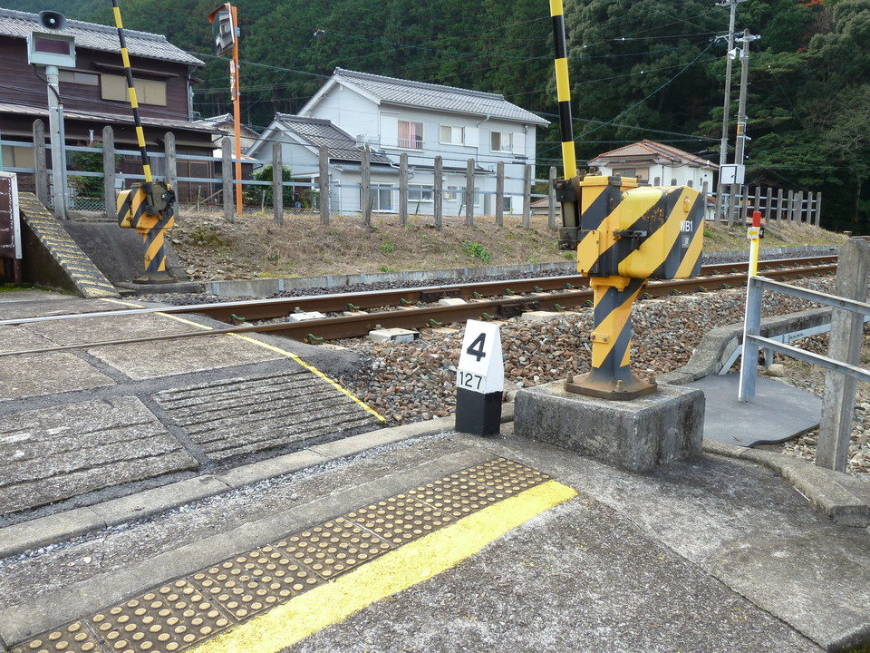 P1000575_mid.jpg