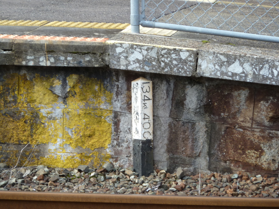 P1000587_mid.jpg