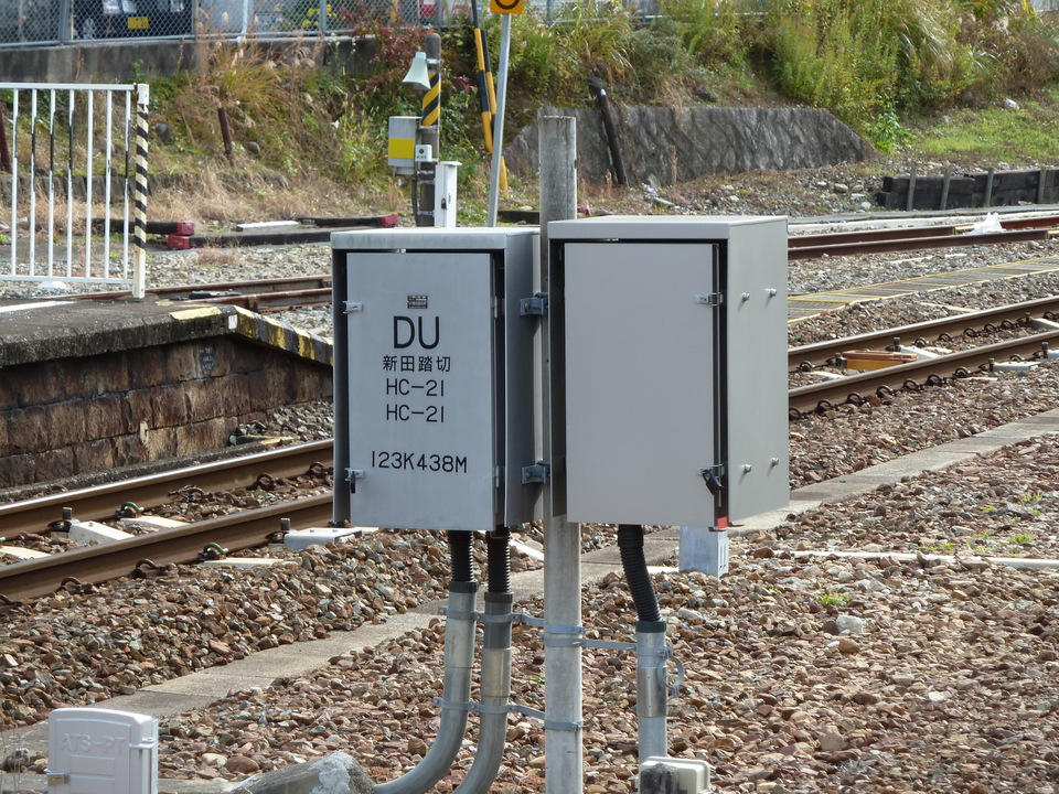 P1000603_mid.jpg