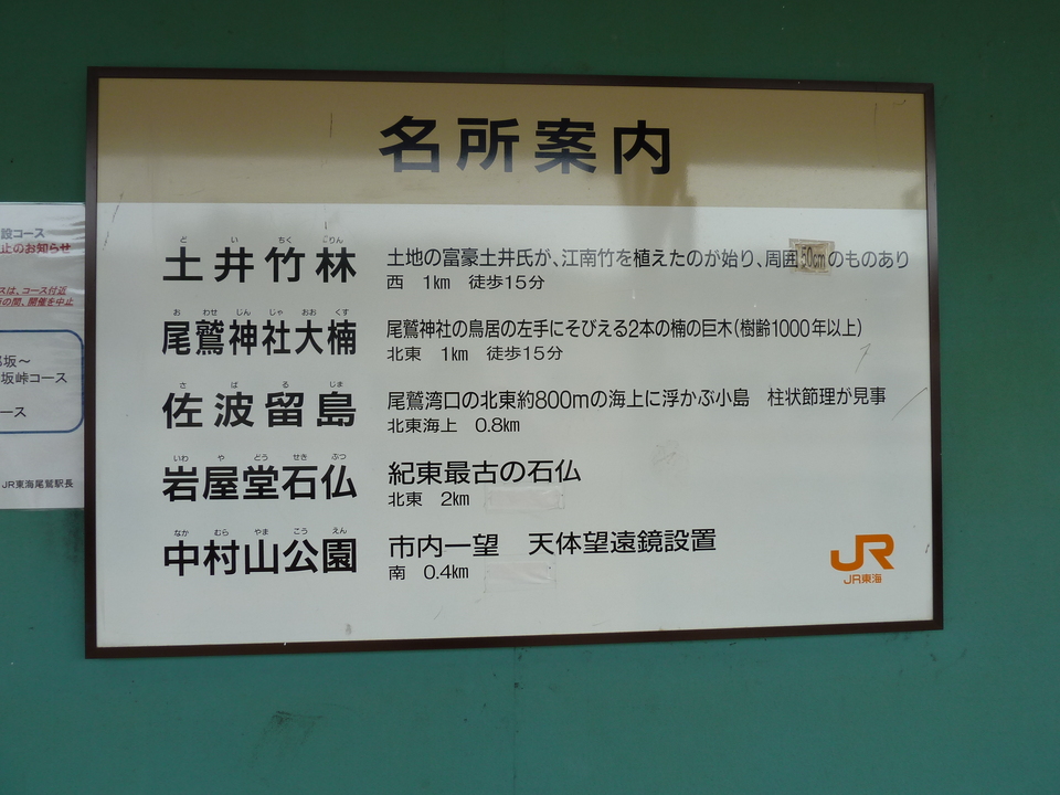P1000604_mid.jpg