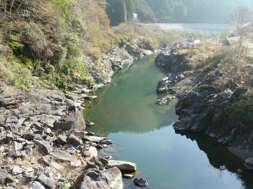 P1000892_mid.jpg
