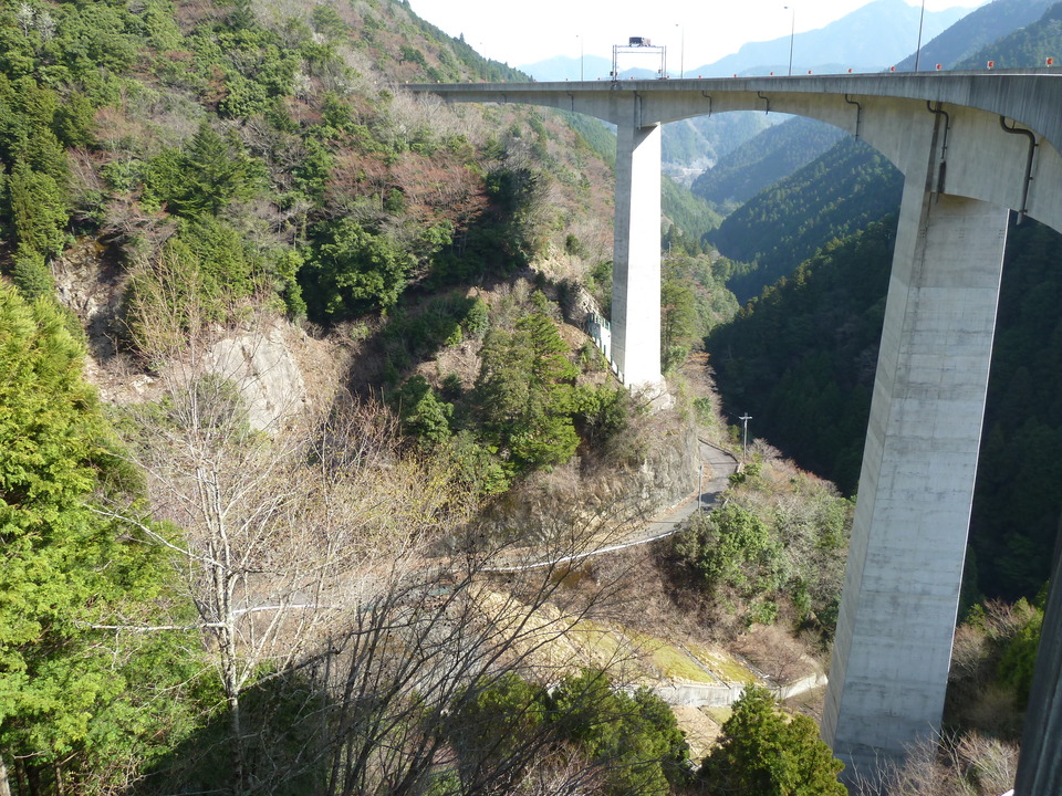 P1000910_mid.jpg