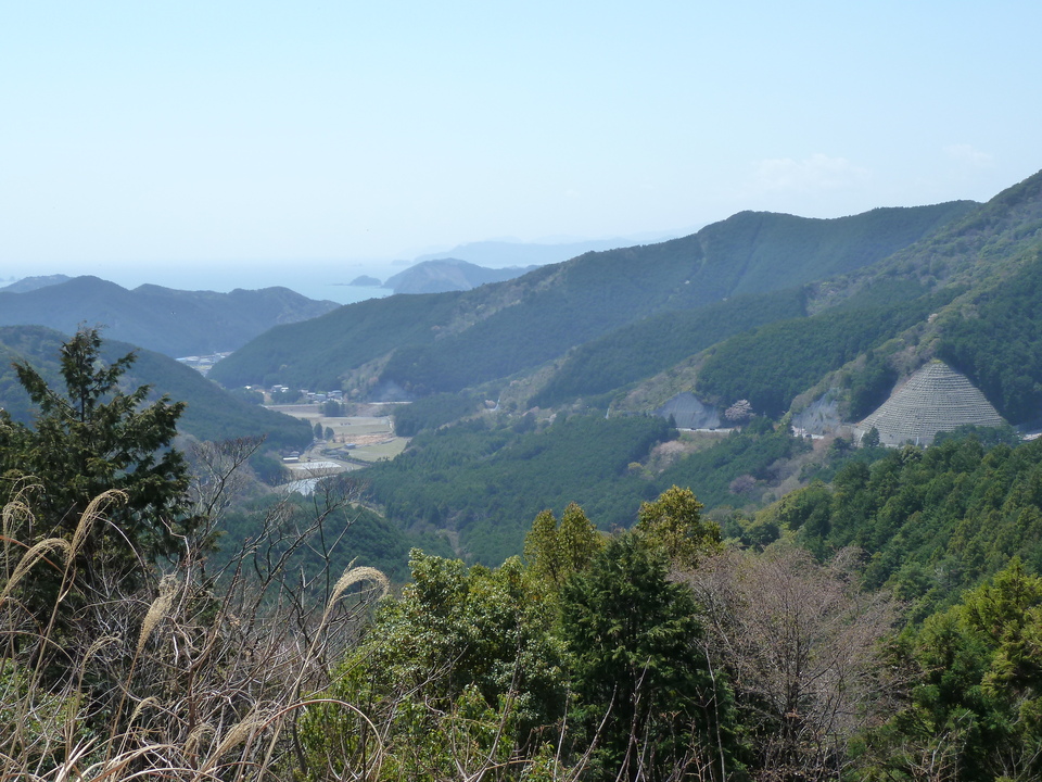 P1000932_mid.jpg