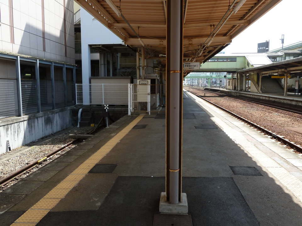 P1000939_mid.jpg