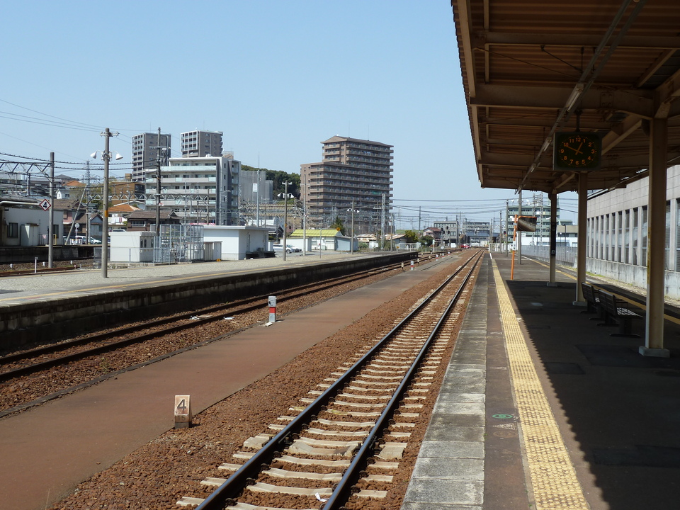 P1000943_mid.jpg