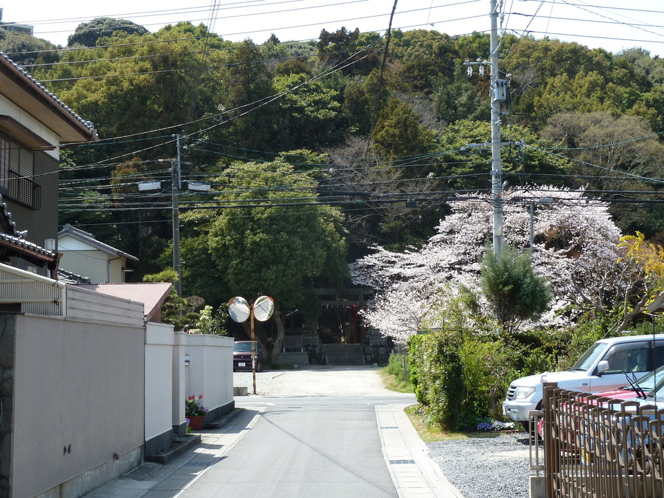 P1000948_mid.jpg