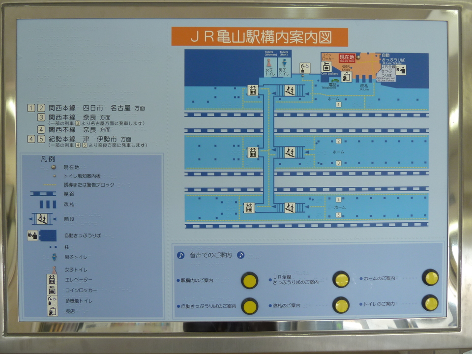 P1000955_mid.jpg