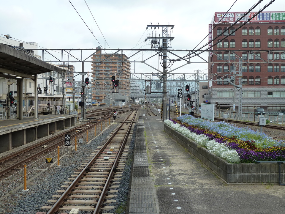 P1010789_mid.jpg