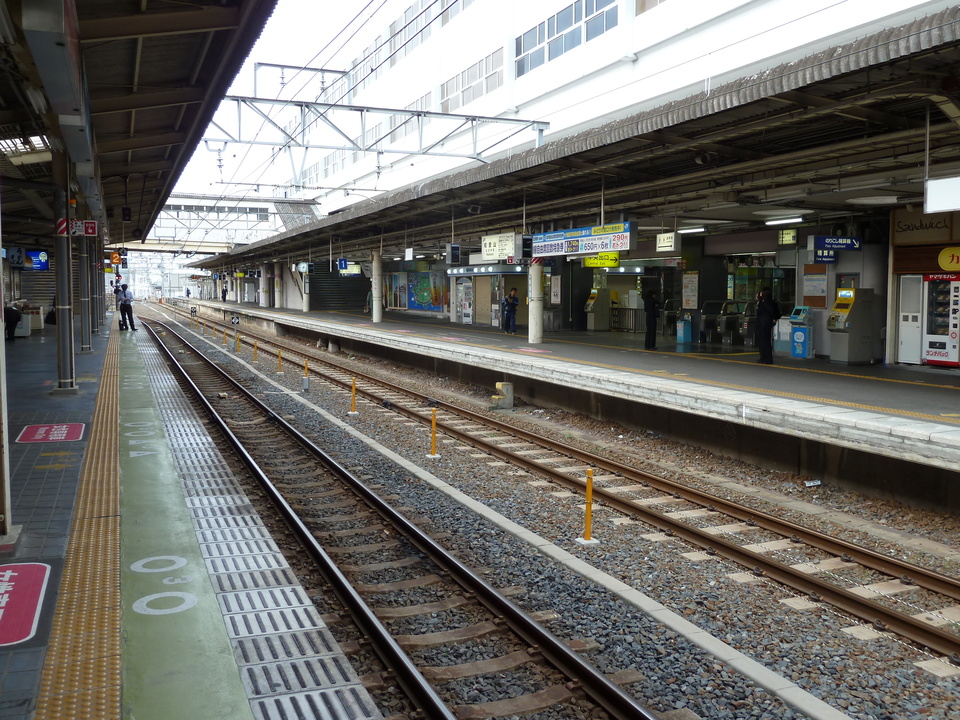 P1010792_mid.jpg
