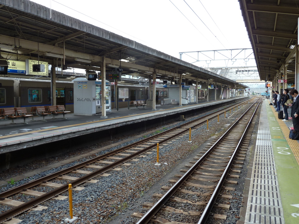 P1010793_mid.jpg