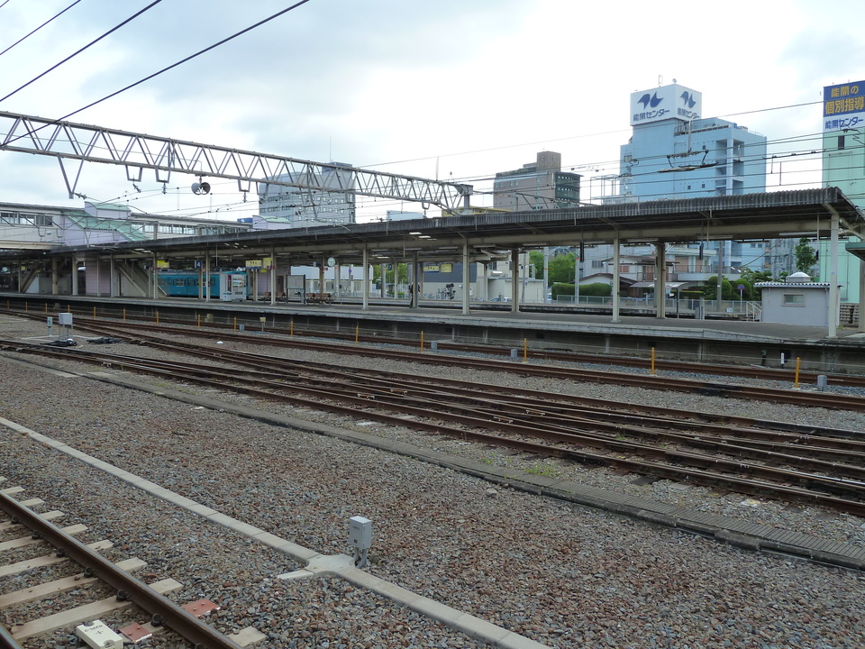 P1010798_mid.jpg