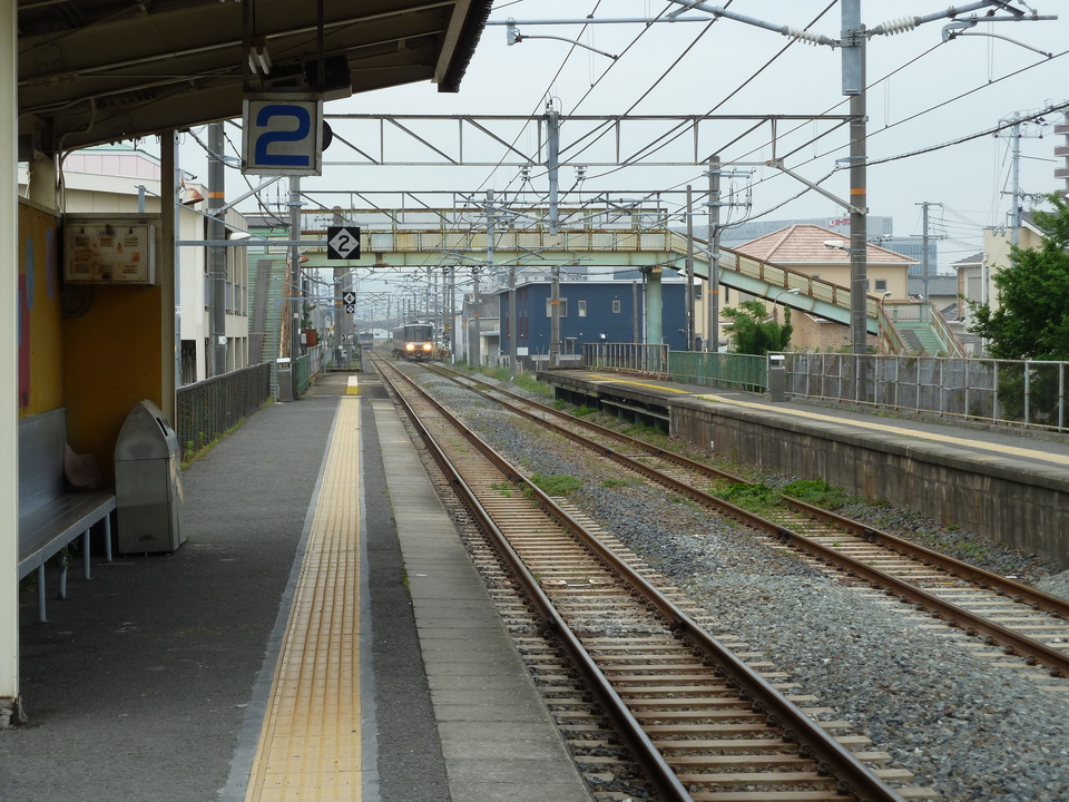 P1010848_mid.jpg