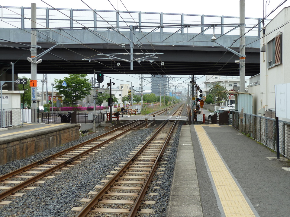 P1010849_mid.jpg