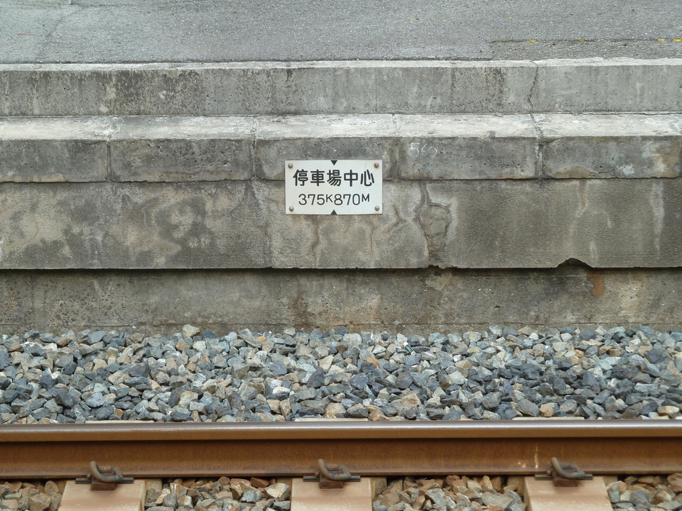 P1010862_mid.jpg