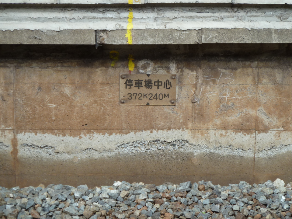 P1010874_mid.jpg