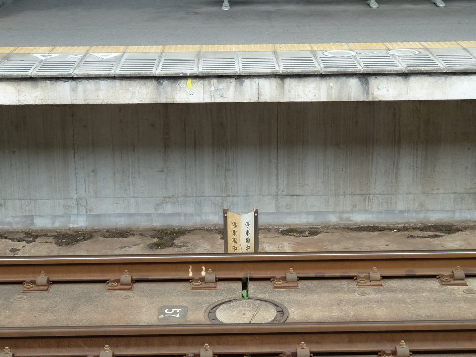 P1010899_mid.jpg