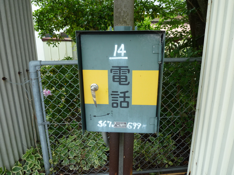 P1010925_mid.jpg